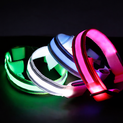 Safe & Sound Halo™ Collar