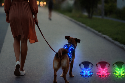 Safe and Sound Halo™ Harness