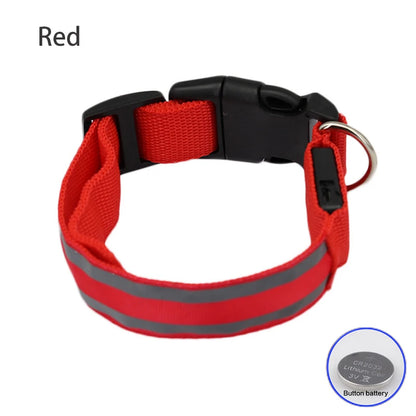 Safe & Sound Halo™ Collar