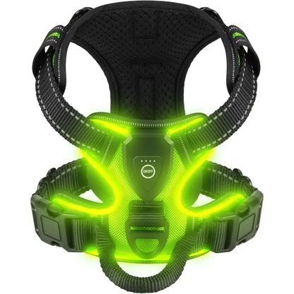 Safe and Sound Halo™ Harness