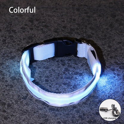 Safe & Sound Halo™ Collar