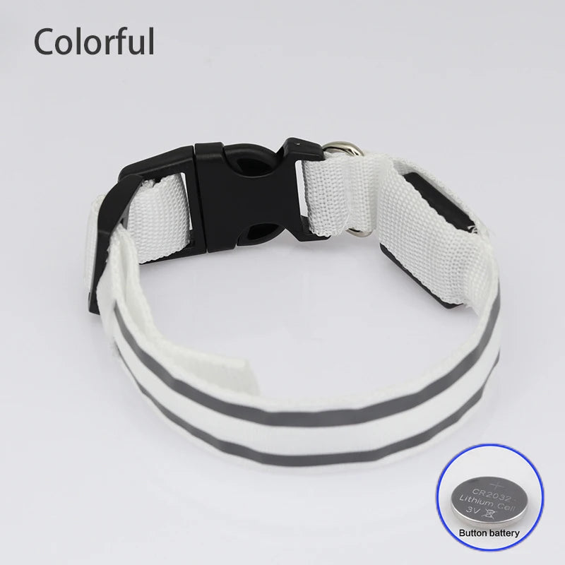 Safe & Sound Halo™ Collar