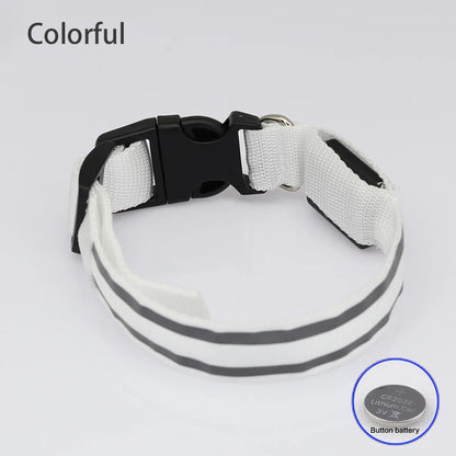 Safe & Sound Halo™ Collar