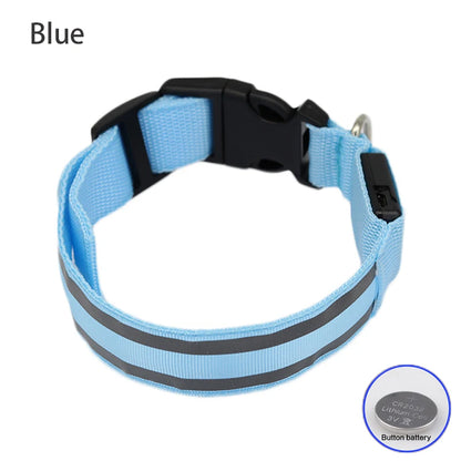 Safe & Sound Halo™ Collar