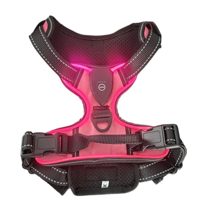 Safe and Sound Halo™ Harness