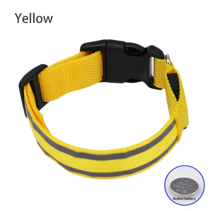 Safe & Sound Halo™ Collar