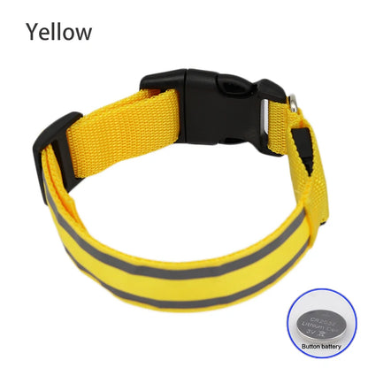 Safe & Sound Halo™ Collar